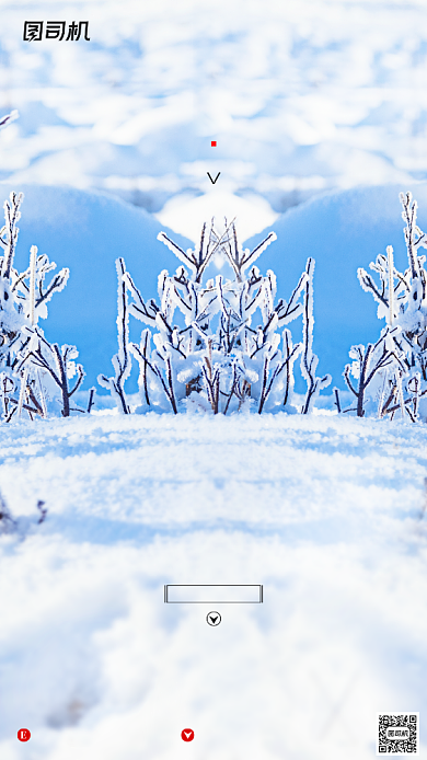 霜降节气摄影图冰霜白色简约手机海报背景