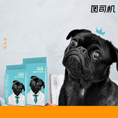 宠物食品零食狗粮猫粮电商淘宝主图背景