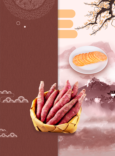 红薯天然紫红养生宣传促销印刷海报背景
