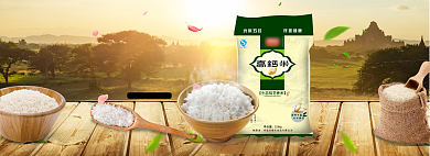 简约清新家居风格大米海报背景