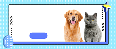 绿色孟菲斯猫和狗有爱的瞬间公众号首图背景