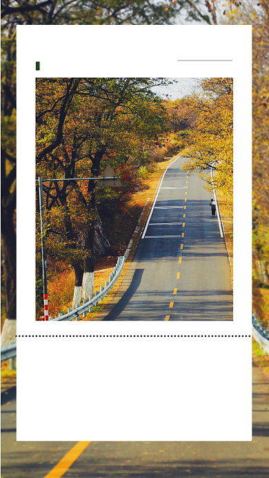 秋色马路远方简约日签手机海报背景