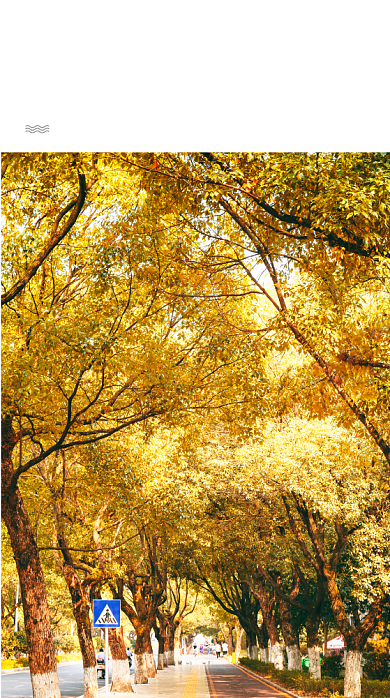 日签诗歌手机海报背景