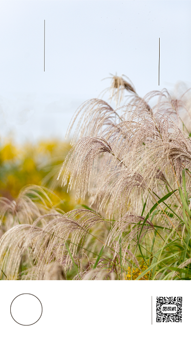 日签正能量文艺风手机海报背景