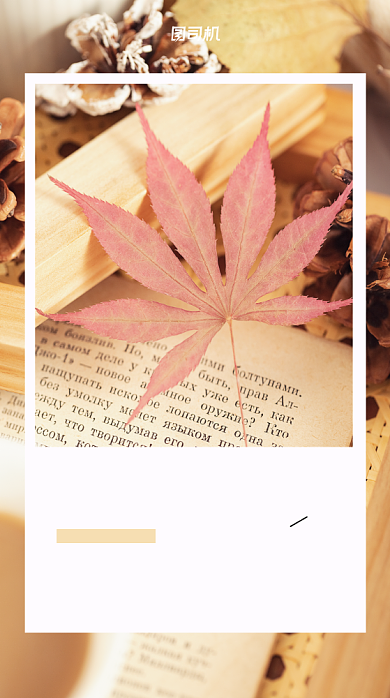 日签小清新文艺风手机海报背景