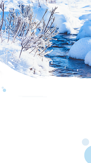 蓝色简约冬至过大年竖版配图背景