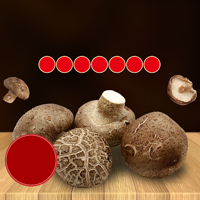 农产品山菇主图直通车背景