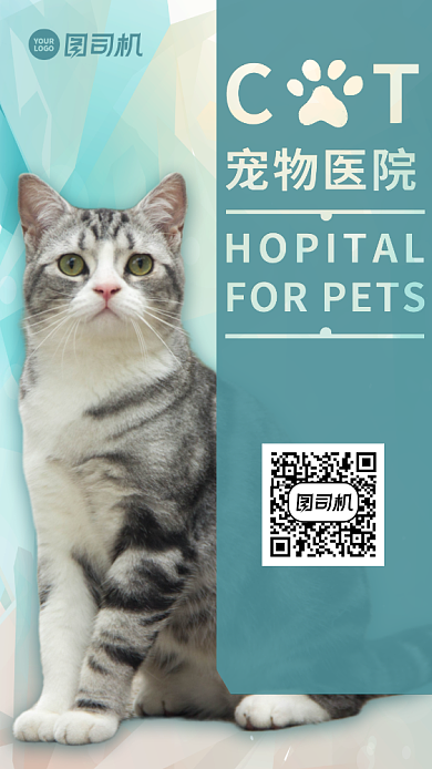 宠物医院活动猫咪蓝色手机海报背景