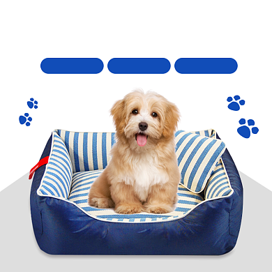 萌宠宠物窝全拆可洗宠物用品简约主图背景