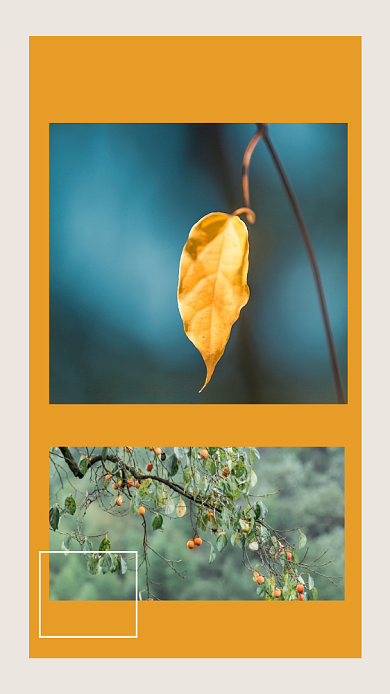 秋天文艺十月你好清新文章配图背景