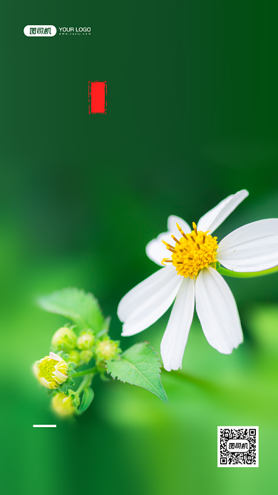 立春二十四节气写实手机海报背景