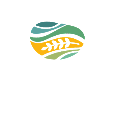 大米粮食有机农业LOGO背景