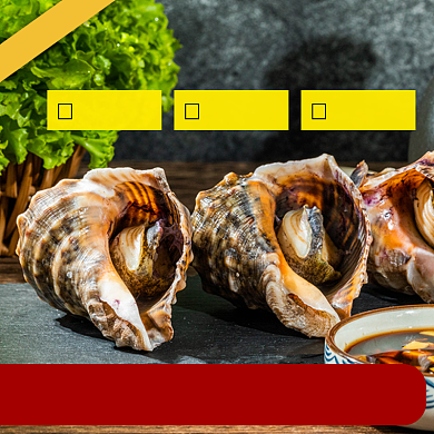 食品海鲜类海螺主图直通车生鲜模板背景