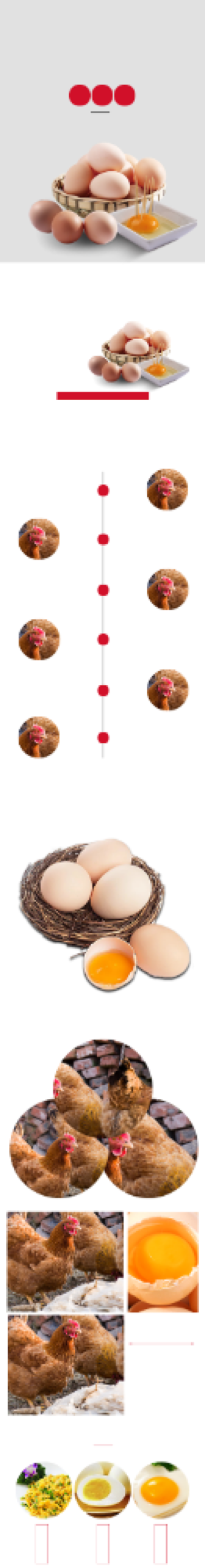 土鸡蛋详情页电商时尚简约营养健康背景