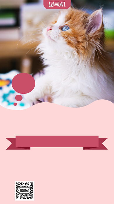 波斯猫护理宠物店宣传手机海报背景
