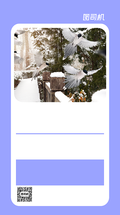 紫色简约冬季旅行摄影手机海报背景