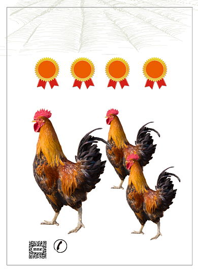 大公鸡散养美食餐饮饭店私房菜印刷海报背景