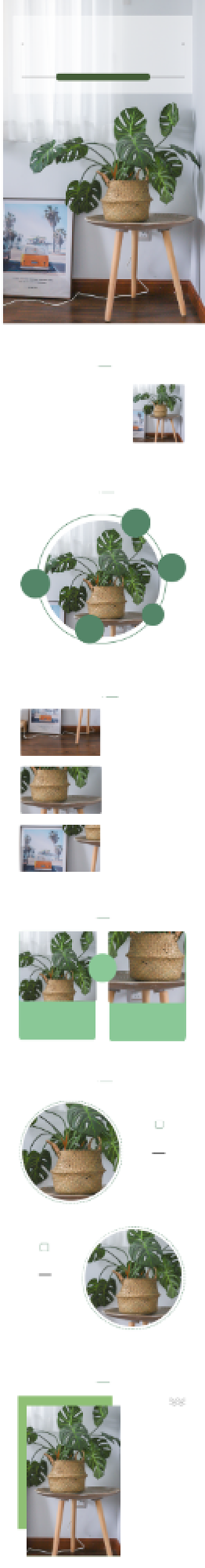 简约绿色植物盆栽绿植电商淘宝详情页背景