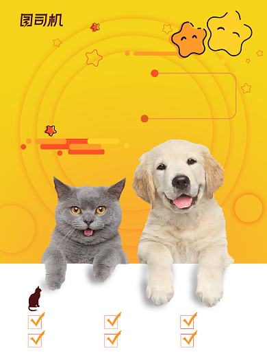 宠物黄色可爱店铺海报背景