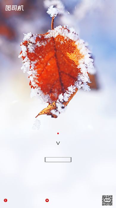 霜降节气冰霜黄叶摄影图手机海报背景