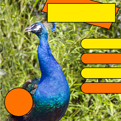 孔雀动物宠物淘宝主图直通车模板背景