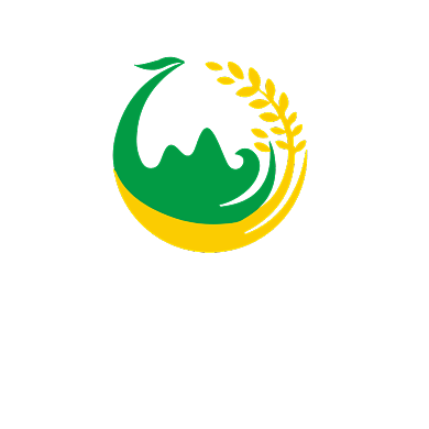 凤凰农产品电商LOGO背景