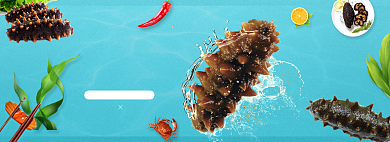 电商生鲜风淘宝海参海报背景