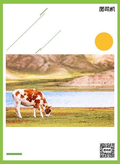 草原之旅简约游玩出行宣传印刷海报背景