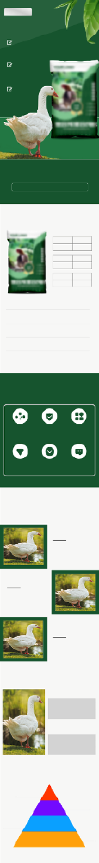 动物养殖健康生长饲料详情页背景