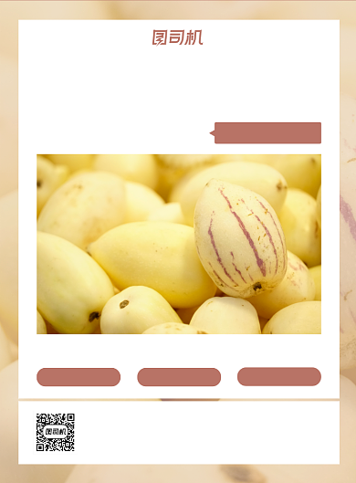 人参果黄色长寿果云南特产水果印刷海报背景