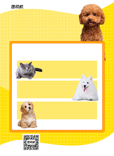 萌宠之家黄色营销宣传印刷海报背景