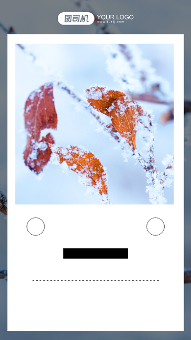 二十四节气大雪摄影图手机海报背景