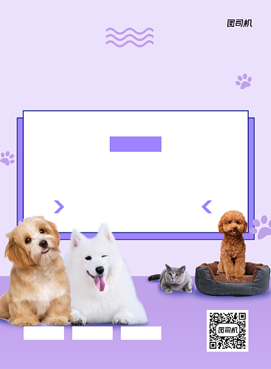 宠物店美容紫色简约宣传海报背景