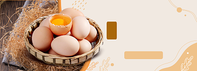丰收季农家农产品土鸡蛋促销海报背景