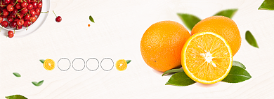 冬季脐橙促销全屏海报背景