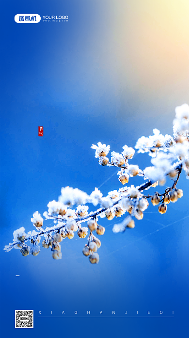 小寒节气摄影图宣传手机海报背景