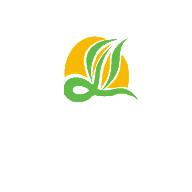 农产品电商种子麦苗LOGO背景