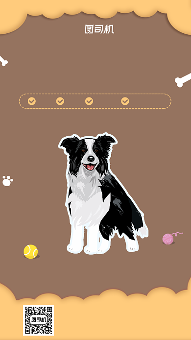 边牧犬宠物店活动手机海报背景