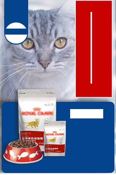 宠物猫粮类淘宝直通车活动主图背景