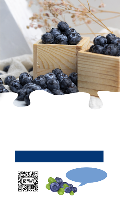 现摘蓝莓水果促销手机配图背景