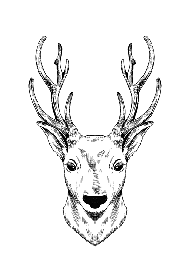 北欧黑白简约复古麋鹿无框画装饰画背景