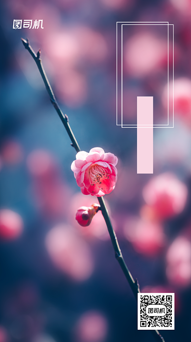日签心情梅花手机海报背景
