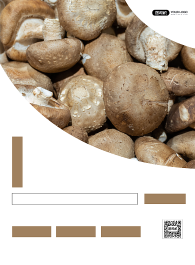 野生菌时尚简约绿色食品创意印刷海报背景