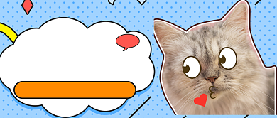 卡通简约宠物知识新媒体首图背景