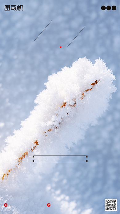 霜降节气摄影图冰霜清新简约手机海报背景