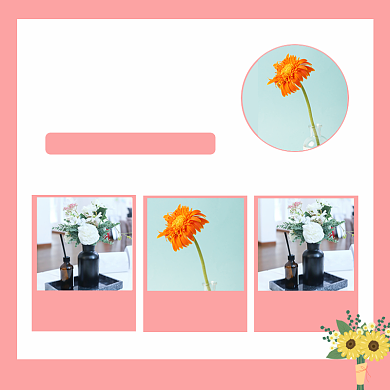 鲜花礼物粉色主图直通车背景