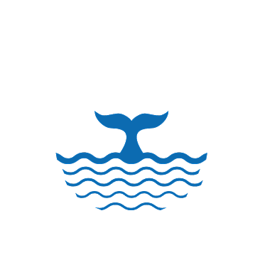 鲸鱼教育大海logo背景