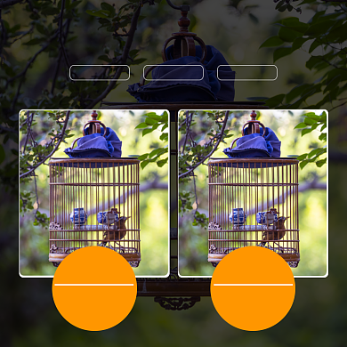 鸟笼笼子淘宝主图直通车模板背景