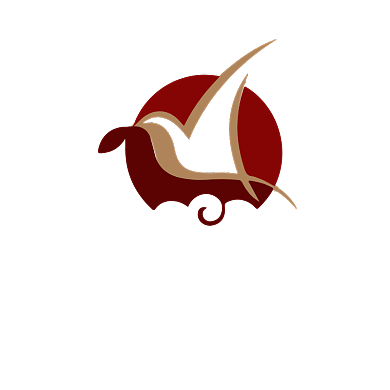 燕窝补品保健品LOGO背景