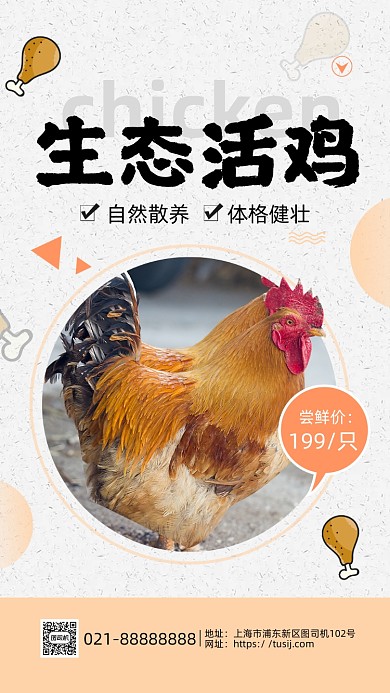 生态活鸡促销手机海报